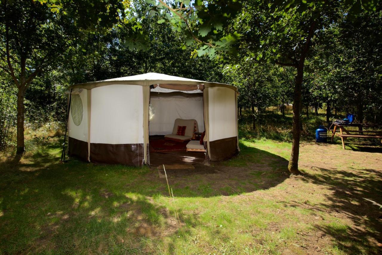 Готель Dgg Woodland Escape South Barrow Екстер'єр фото