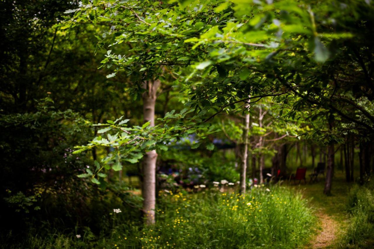 Готель Dgg Woodland Escape South Barrow Екстер'єр фото