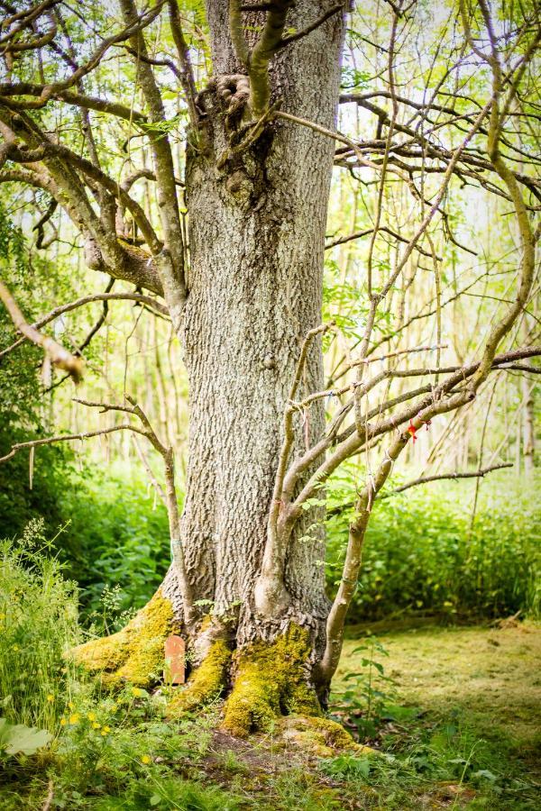 Готель Dgg Woodland Escape South Barrow Екстер'єр фото