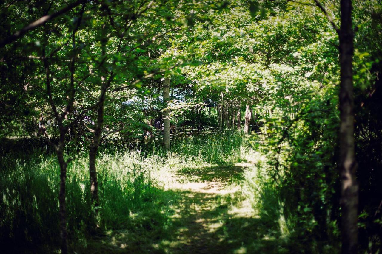 Готель Dgg Woodland Escape South Barrow Екстер'єр фото