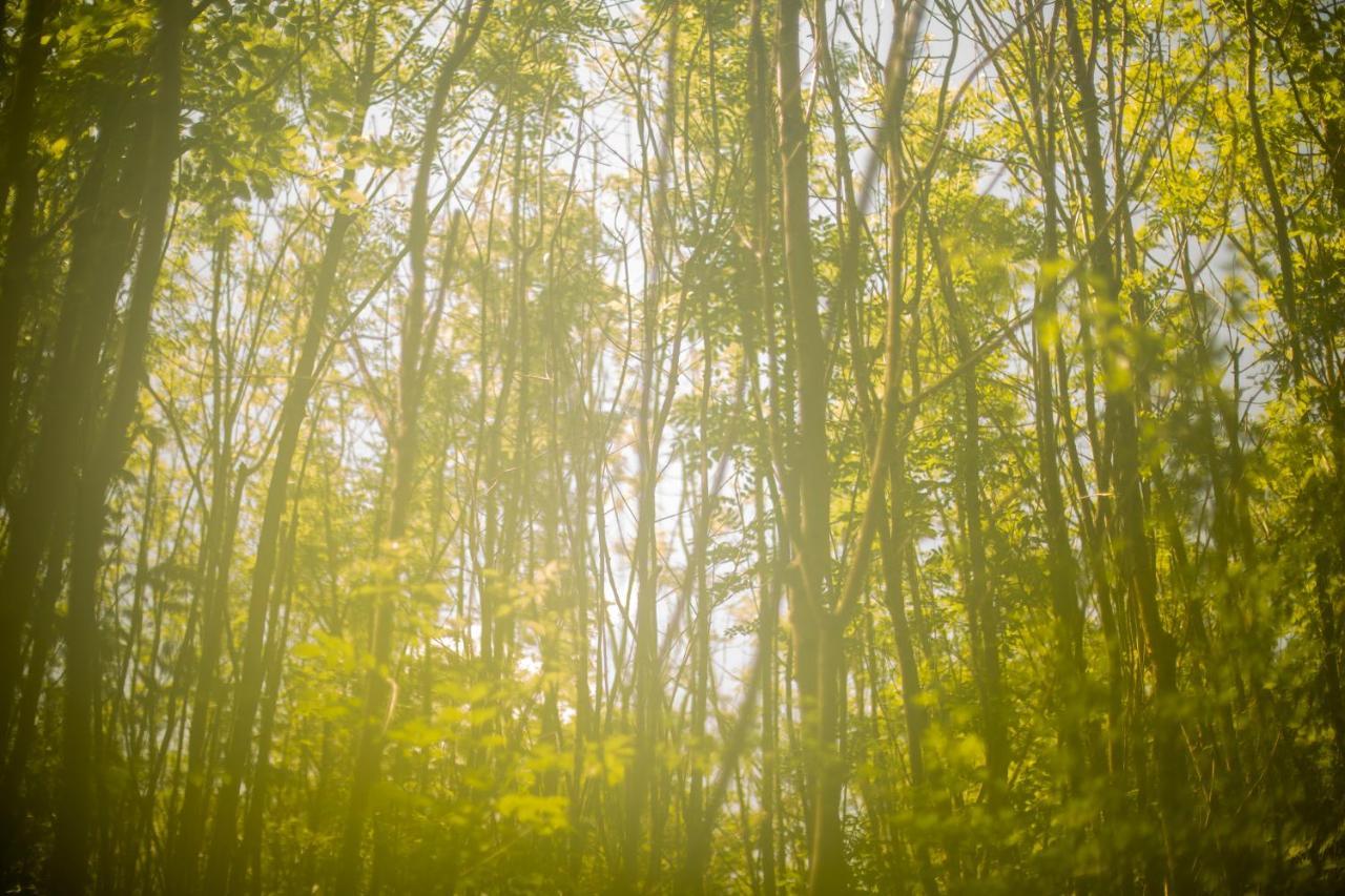 Готель Dgg Woodland Escape South Barrow Екстер'єр фото