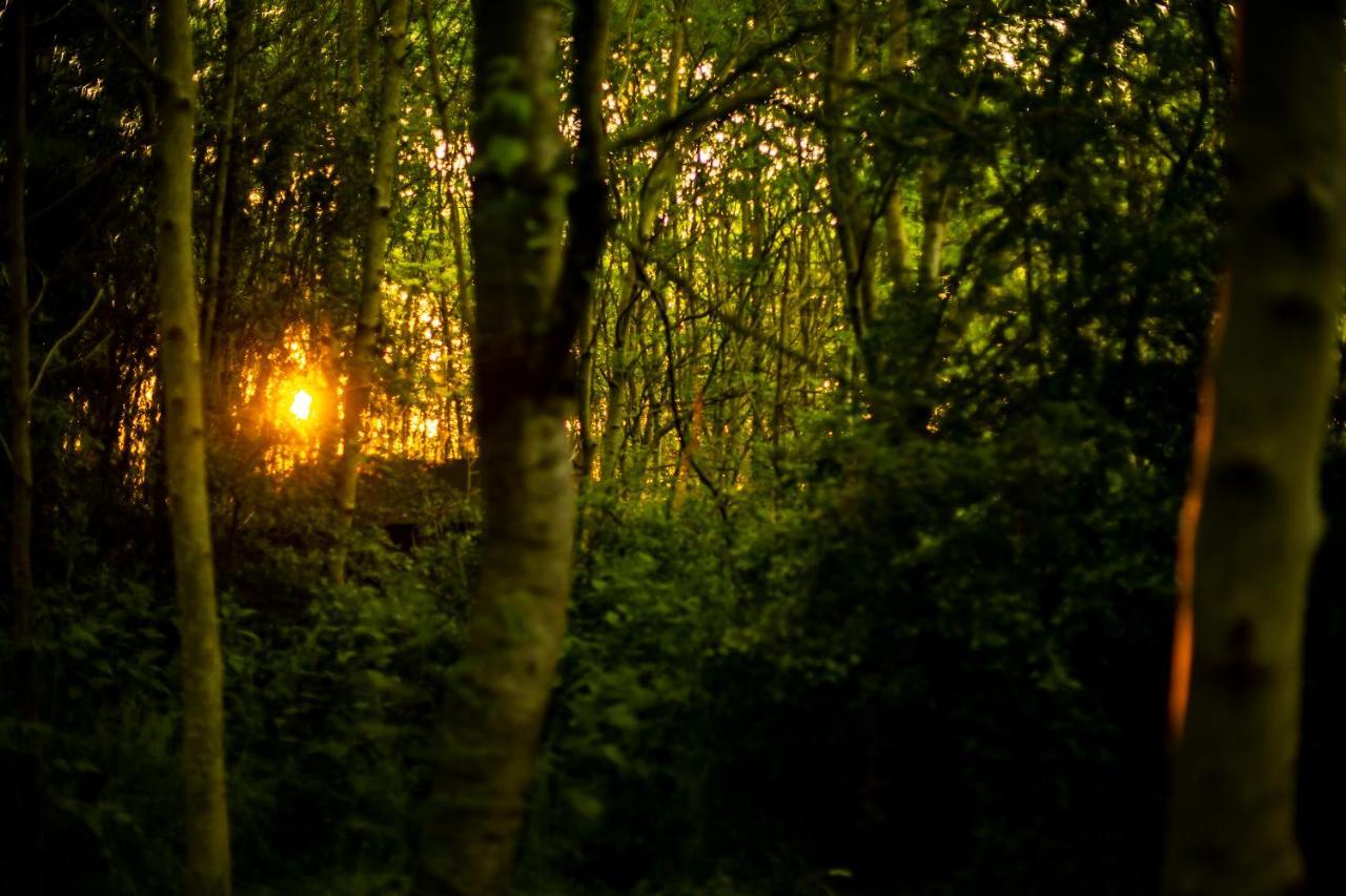 Готель Dgg Woodland Escape South Barrow Екстер'єр фото