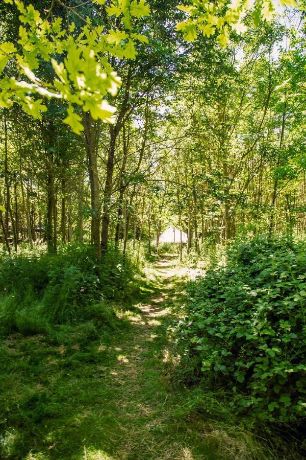 Готель Dgg Woodland Escape South Barrow Екстер'єр фото