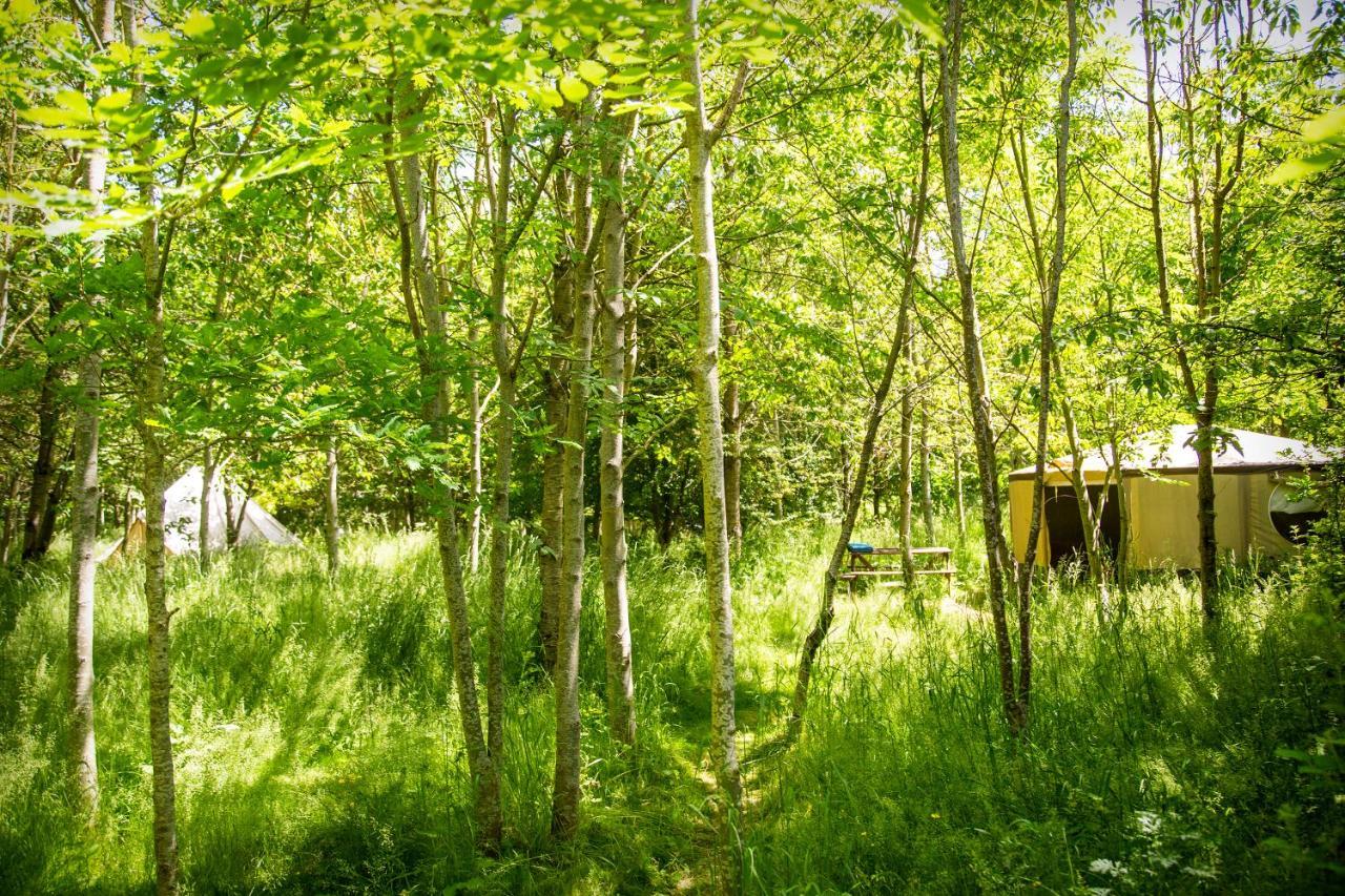 Готель Dgg Woodland Escape South Barrow Екстер'єр фото