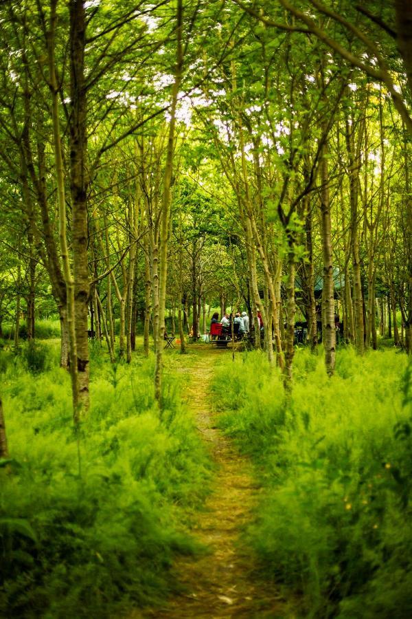 Готель Dgg Woodland Escape South Barrow Екстер'єр фото